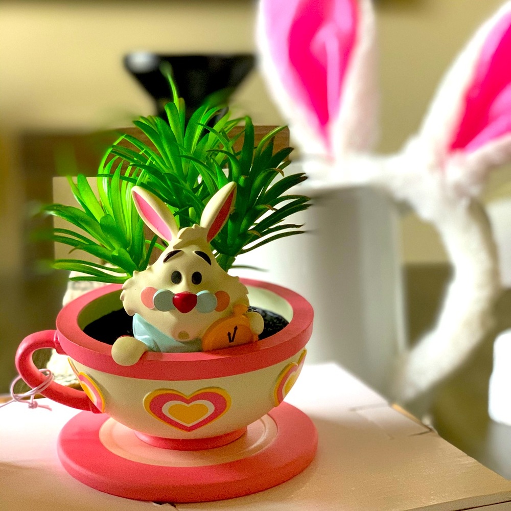 Mad Tea party faux succulent. Jerrod Maruyama